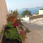 Nika Ντουμπρόβνικ