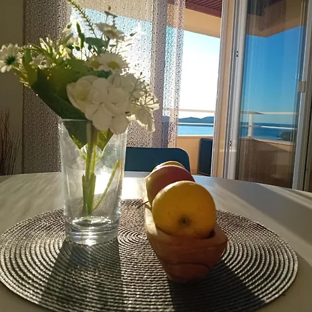 Apartment Nika