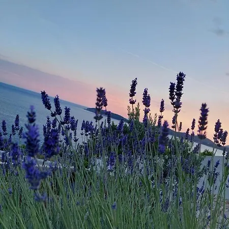 Nika Διαμέρισμα *