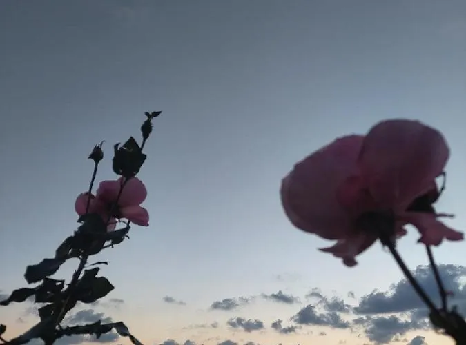 Nika Apartment Dubrovnik