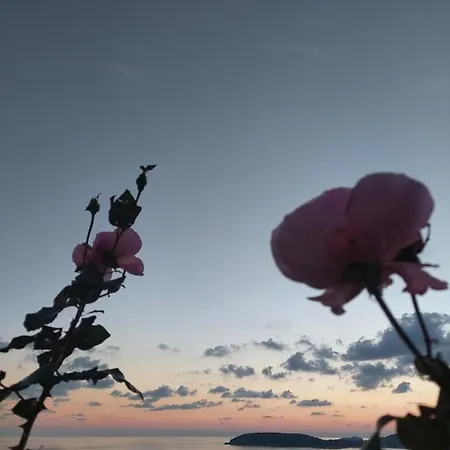 Nika Appartement Dubrovnik